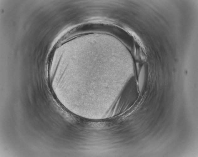 X0000085751376200704131659