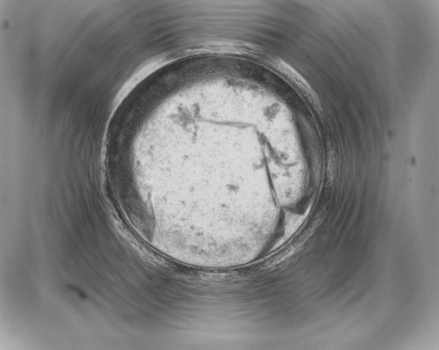 X0000085751378200704131659