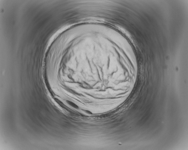 X0000085751379200704131659