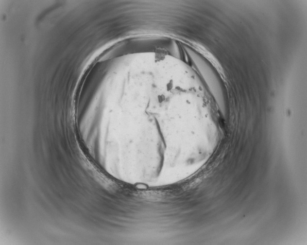 X0000085751380200704131659