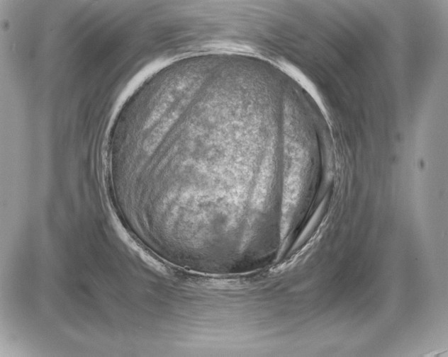 X0000085751381200704131659