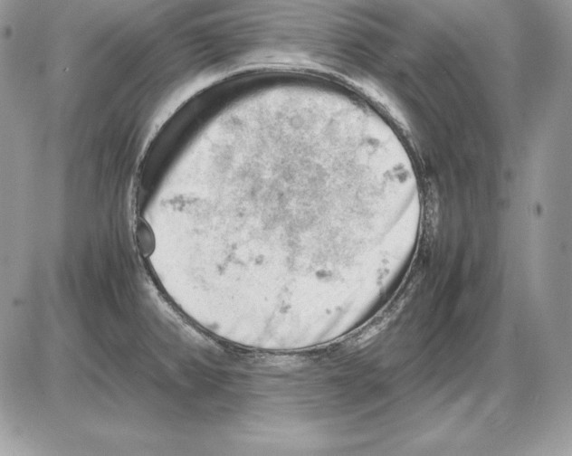 X0000085751382200704131659