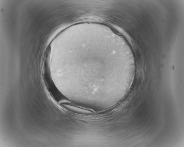 X0000085751383200704131659