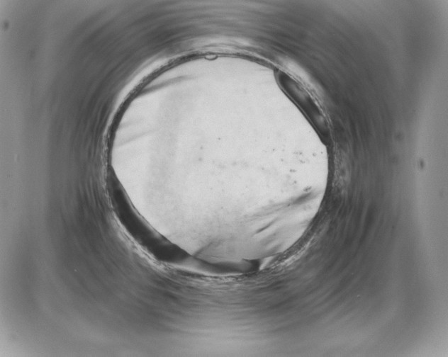 X0000085751384200704131659