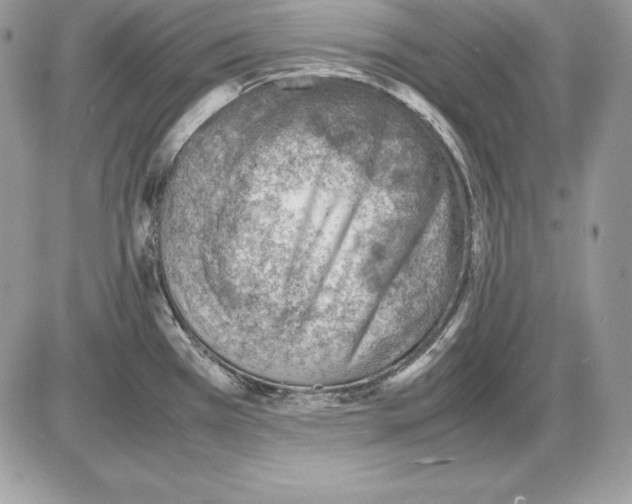 X0000085751385200704131659