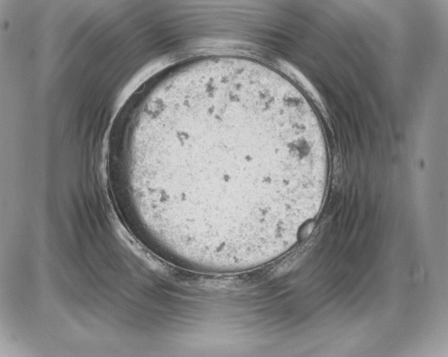 X0000085751386200704131659