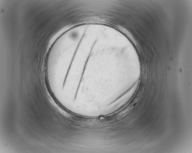 X0000085751387200704131659