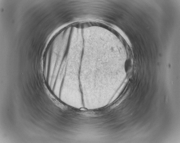 X0000085751388200704131659