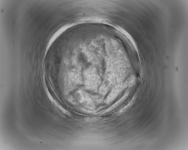 X0000085751389200704131659