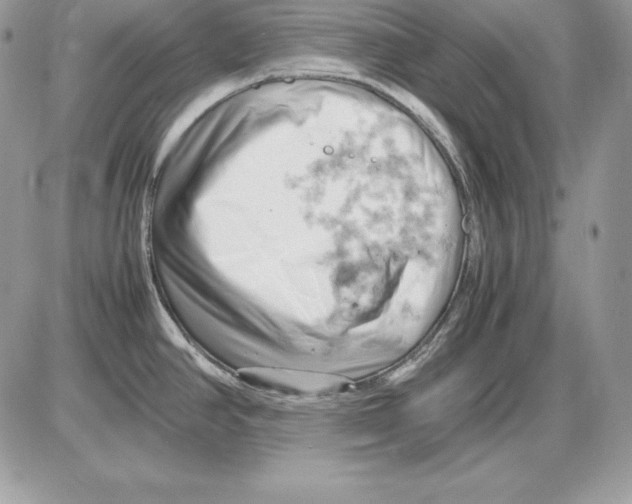 X0000085751390200704131659