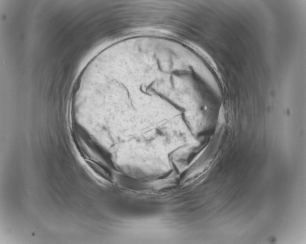 X0000085751391200704131659