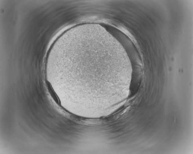 X0000085751392200704131659