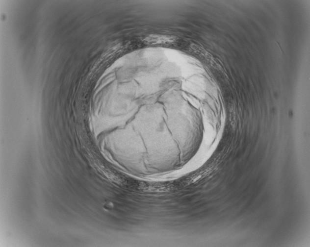 X0000085751393200704131658