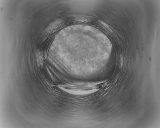 X0000085751394200704131658