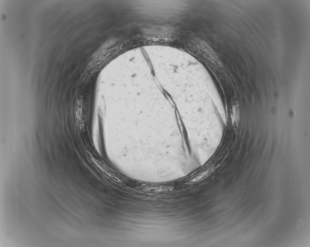 X0000085751396200704131658