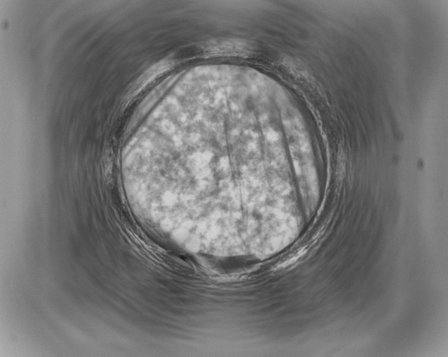 X0000085751401200704131658