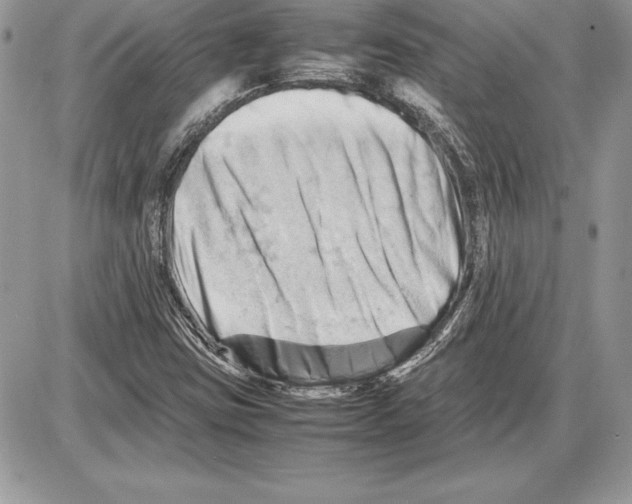 X0000085751403200704131658