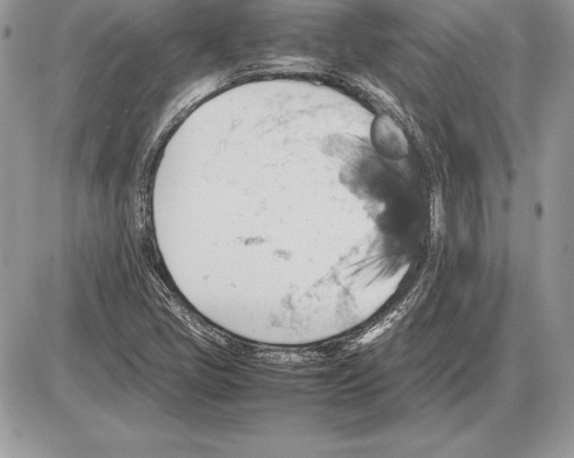 X0000085751405200704131659