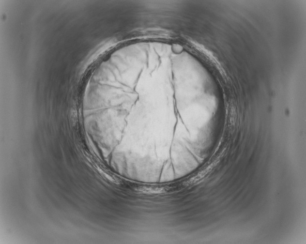 X0000085751407200704131659