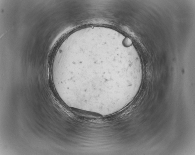 X0000085751408200704131659