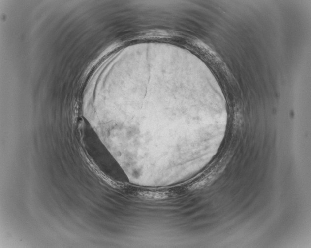 X0000085751409200704131659