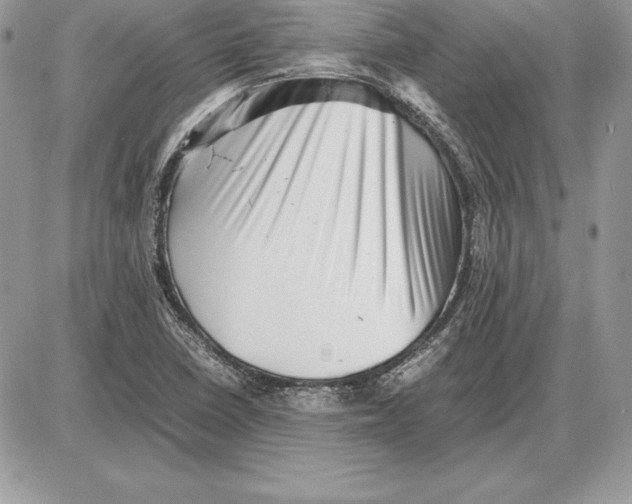 X0000085751410200704131659