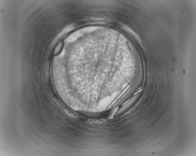 X0000085751411200704131659