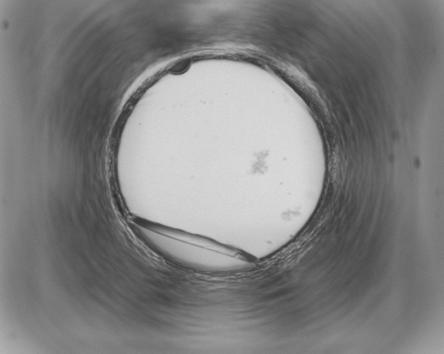 X0000085751412200704131659