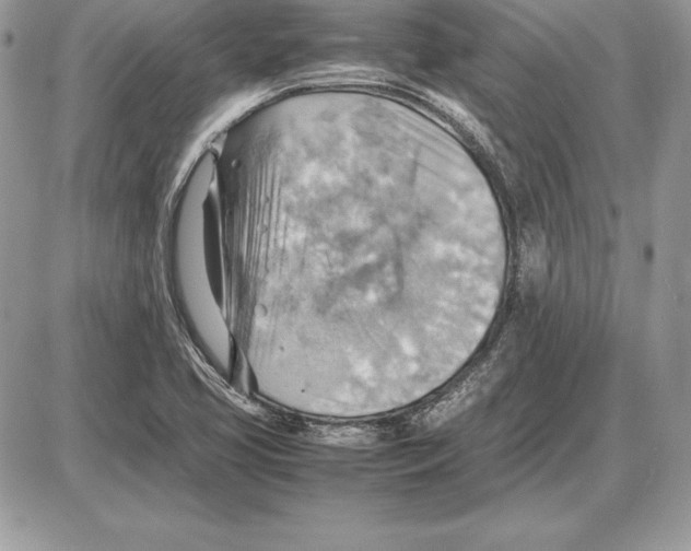 X0000085751413200704131659