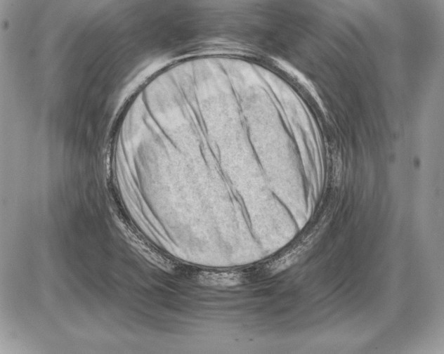 X0000085751415200704131659