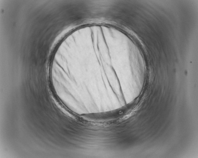 X0000085751416200704131659