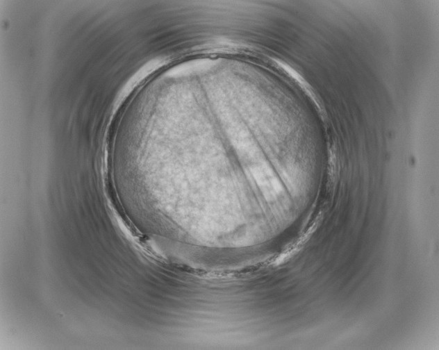 X0000085751418200704131659