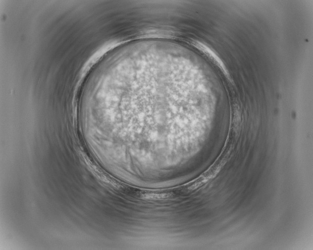 X0000085751419200704131659