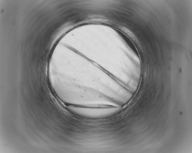 X0000085751420200704131659