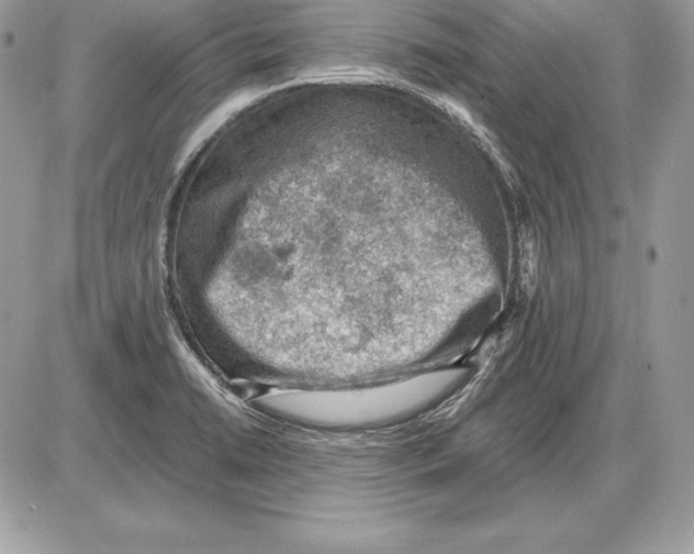 X0000085751422200704131659