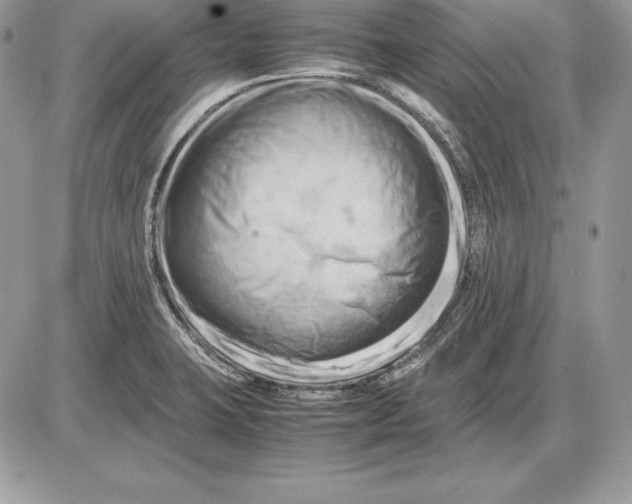 X0000085751423200704131659