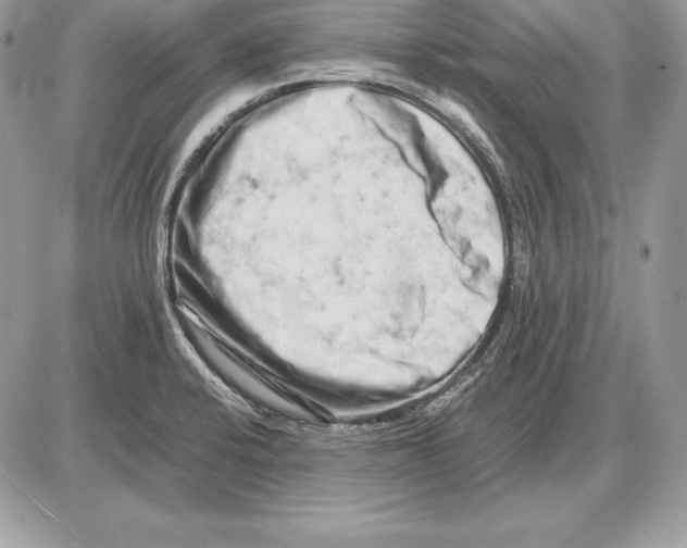 X0000085751424200704131659