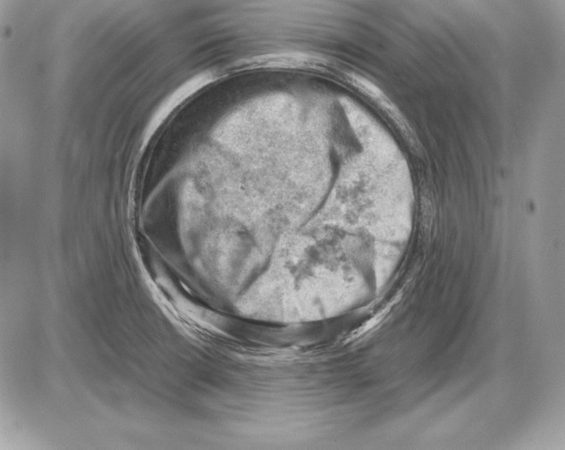 X0000085751426200704131659