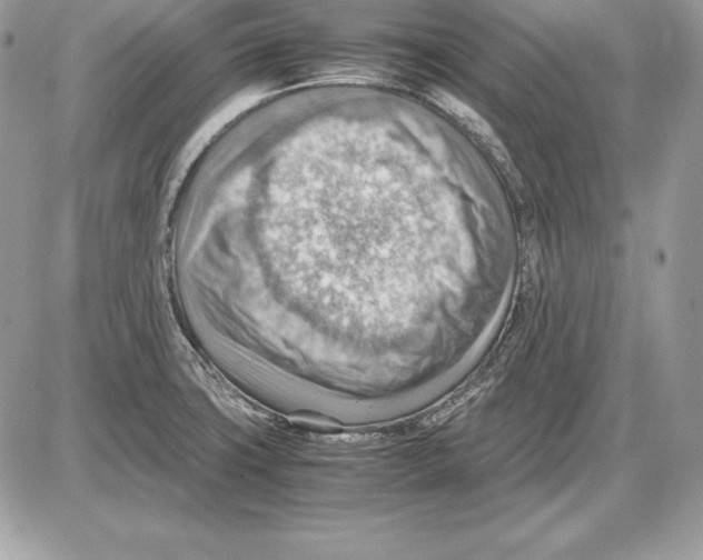 X0000085751427200704131659