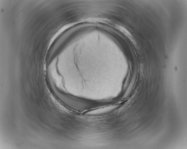 X0000085751428200704131659