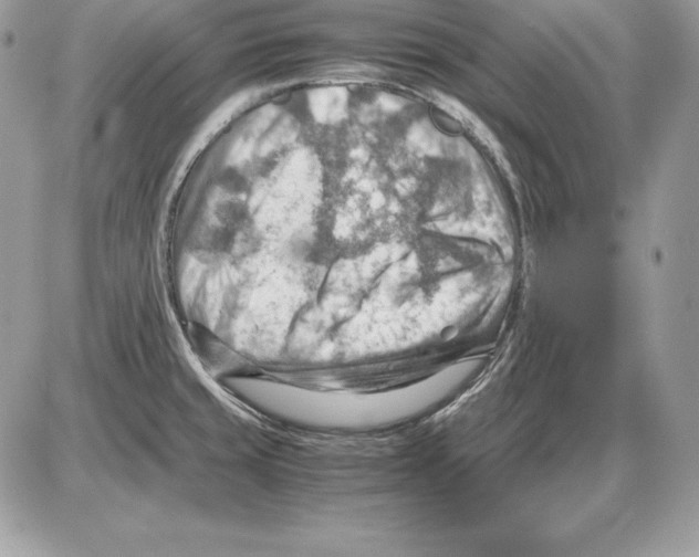 X0000085751429200704131659