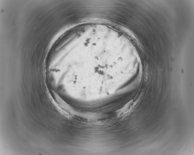 X0000085751430200704131659