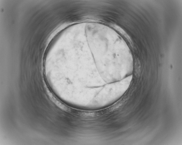 X0000085751431200704131659