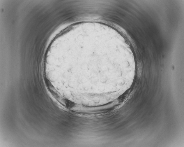 X0000085751432200704131659