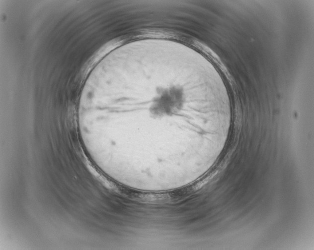 X0000085751433200704131659