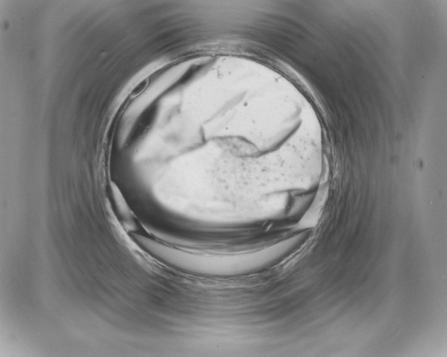 X0000085751434200704131659