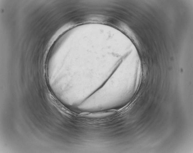 X0000085751435200704131659