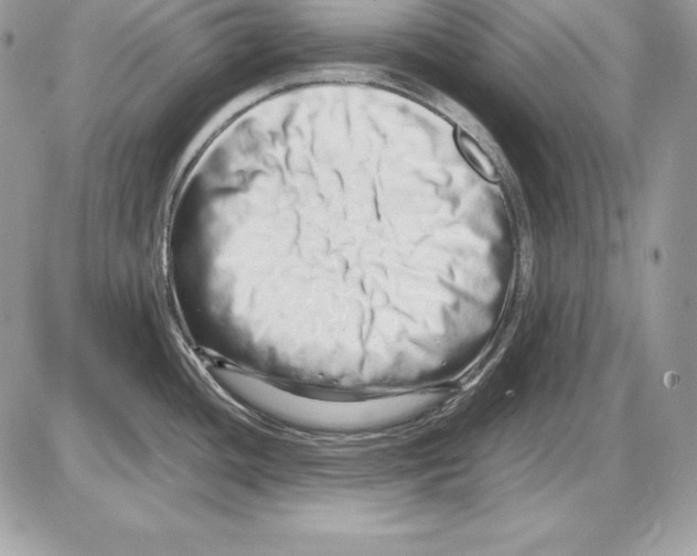 X0000085751436200704131659