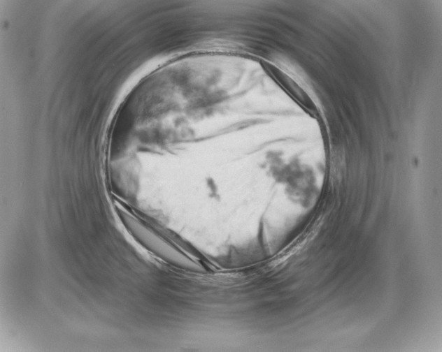 X0000085751437200704131659