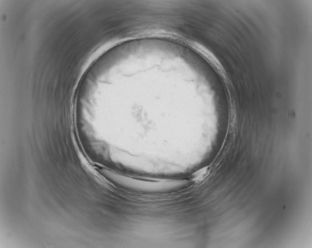 X0000085751439200704131659